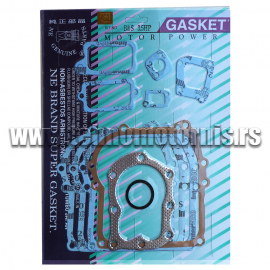 Garnitura dihtunga B&S 2-3.5 KS (297275) tw