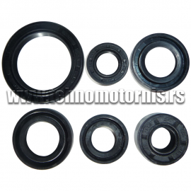 Garnitura semeringa ATV/QUAD 125cc