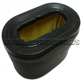 Filter vazduha sa dihtungom B&S5,5-6,75KS 101/63x64/27x76 (69610/498596/697029) tw