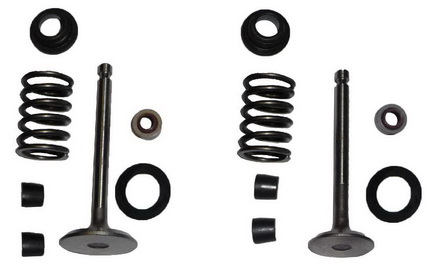 Set ventila Kipor 178F - ventilii,gumice, podmetači, opruge