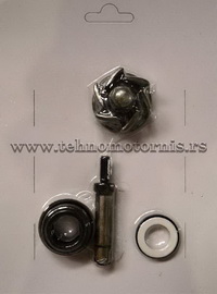 Set za reparaciju vodene pumpe Aprillia leonardo 250cc (100110300)